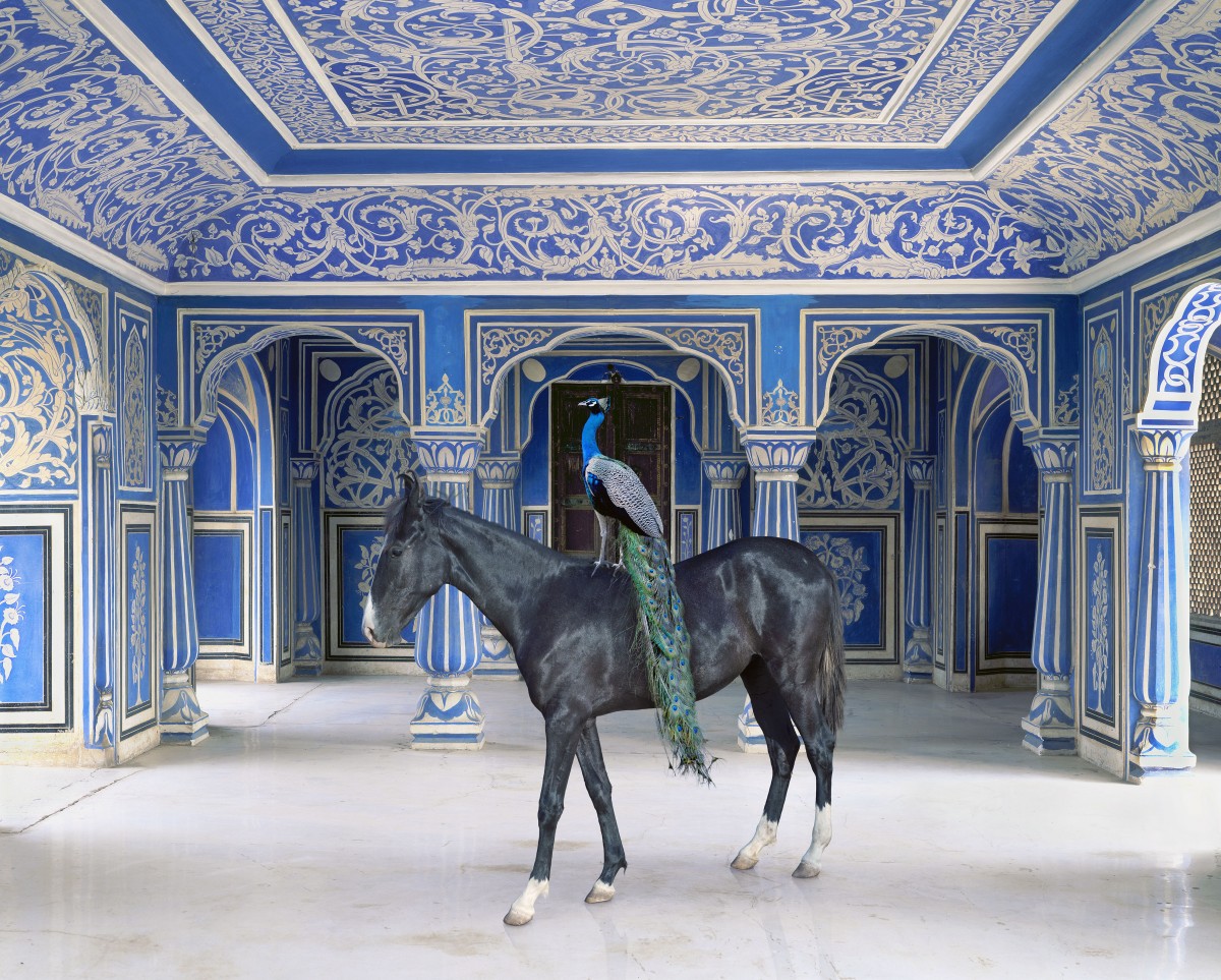 Karen Knorr, Sikander’s Entrance, Chandra Mahal, Jaipur City Palace, Jaipur, 2013 — série India Song